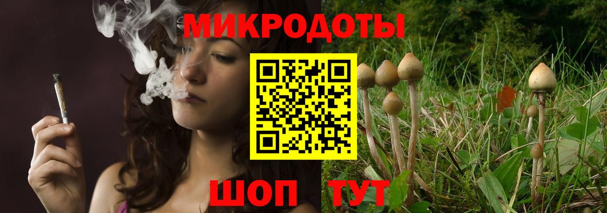 Дивногорск  Псилоцибиновые грибы Psilocybe  Галлюциногенные грибы Cubensis  Вход с VPN 